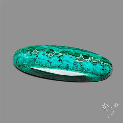 Chrysocolla In Malachite Cabochon