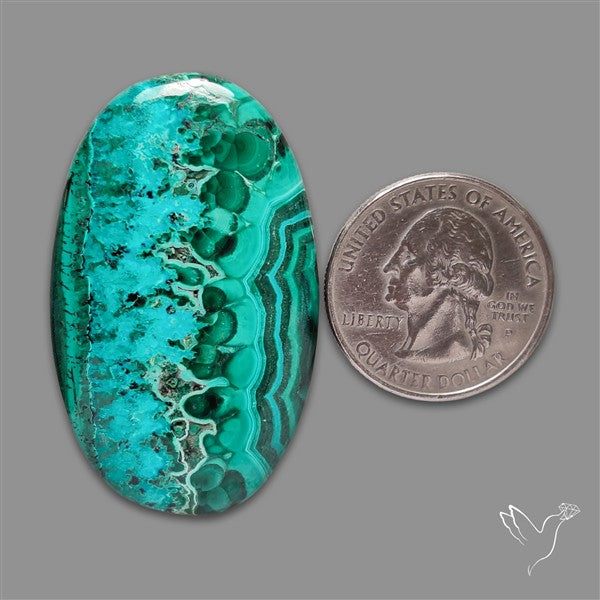 Chrysocolla In Malachite Cabochon