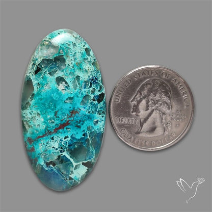 Quantum Quattro Gem Silica Shattuckite Cabochon