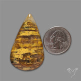 Nellite Cabochon