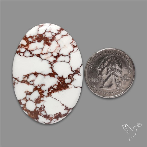 Wild Horse Jasper Cabochon