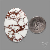 Wild Horse Jasper Cabochon