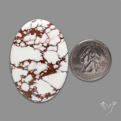 Wild Horse Jasper Cabochon