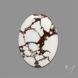 Wild Horse Jasper Cabochon