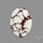 Wild Horse Jasper Cabochon