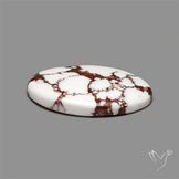 Wild Horse Jasper Cabochon