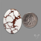 Wild Horse Jasper Cabochon
