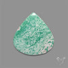 Australian Variscite Cabochon