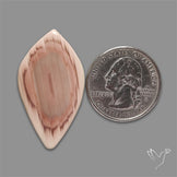 Imperial Jasper Cabochon