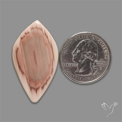 Imperial Jasper Cabochon