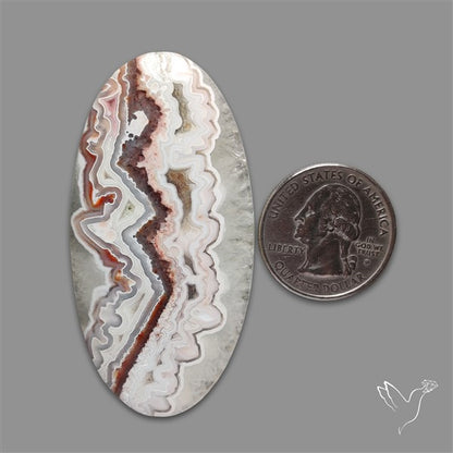 Laguna Lace Agate Cabochon