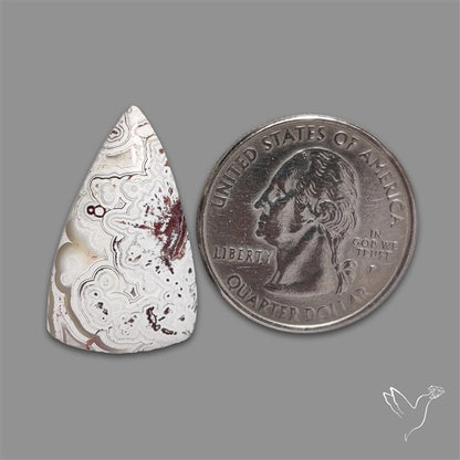 Crazylace Agate Cabochon