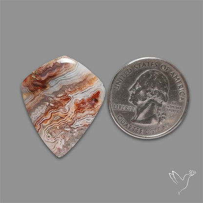 Crazylace Agate Cabochon