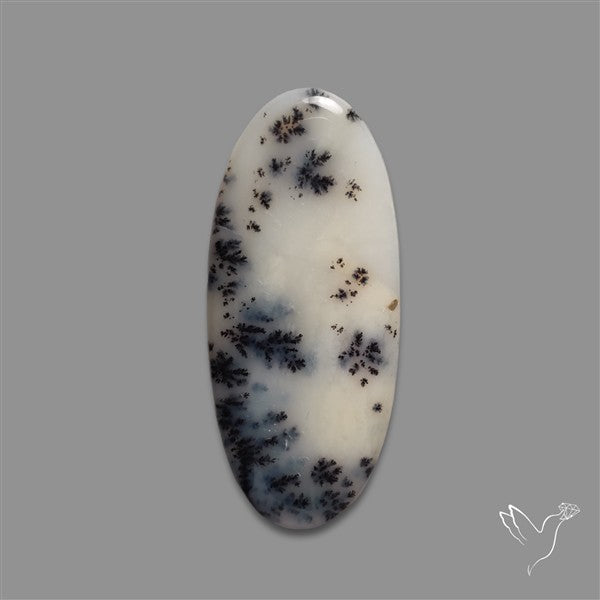 Scenic Dendritic Opal Cabochon