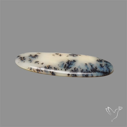Scenic Dendritic Opal Cabochon