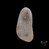 Dendritic Agate Druzy (aka Salt and Pepper Druzy)