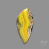 Bumble Bee Jasper Cabochon