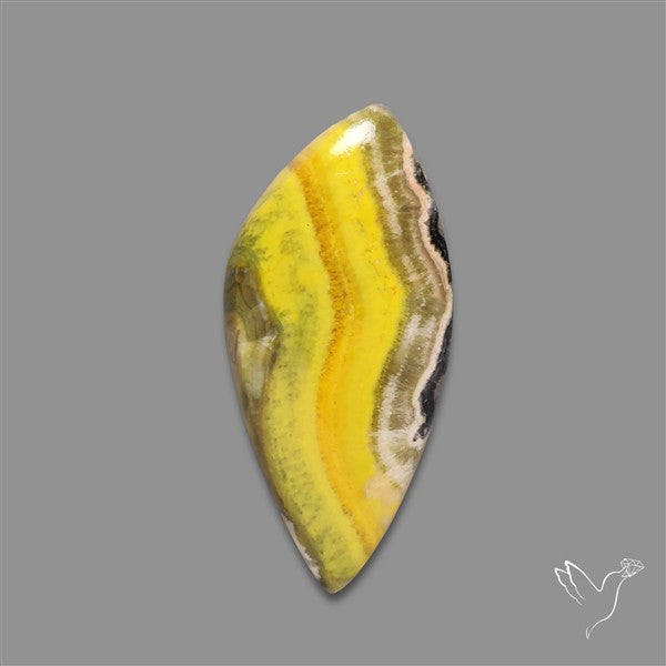 Bumble Bee Jasper Cabochon
