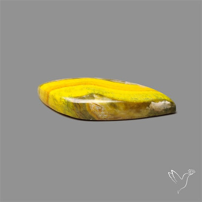 Bumble Bee Jasper Cabochon
