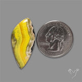 Bumble Bee Jasper Cabochon