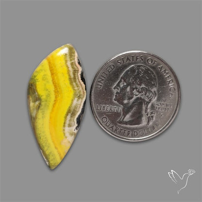 Bumble Bee Jasper Cabochon