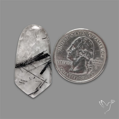 Black Tourmalinated Quartz Cabochon