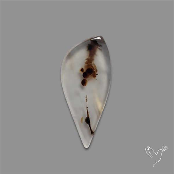 Montana Agate Cabochon