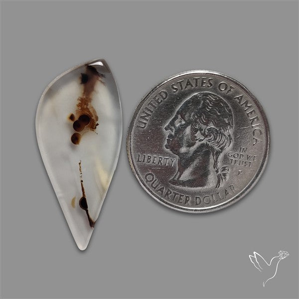 Montana Agate Cabochon
