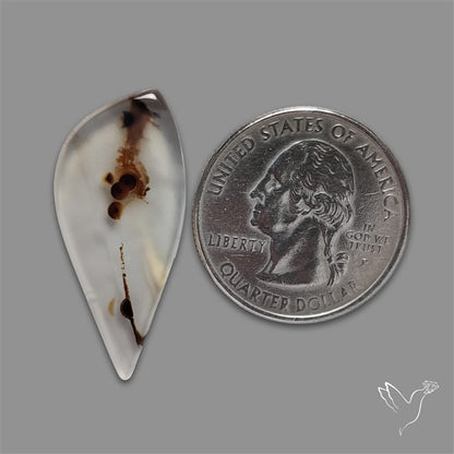 Montana Agate Cabochon