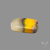 Bumble Bee Jasper Cabochon