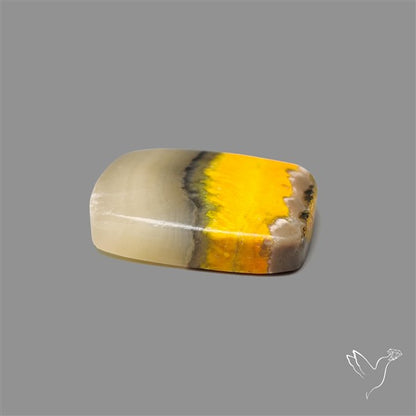 Bumble Bee Jasper Cabochon