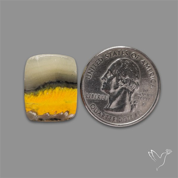 Bumble Bee Jasper Cabochon