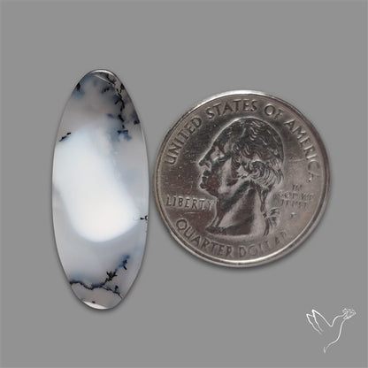 Dendritic Agate Cabochon