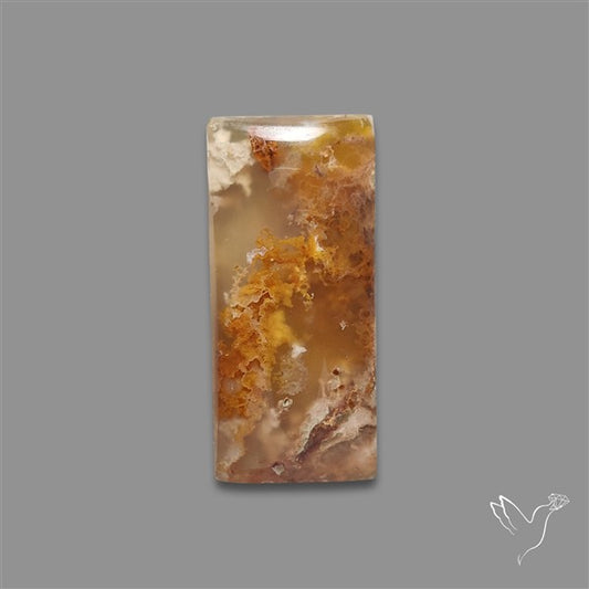 Northridge Plume Agate Cabochon