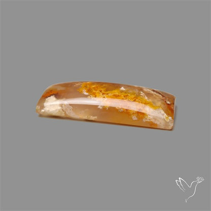 Northridge Plume Agate Cabochon