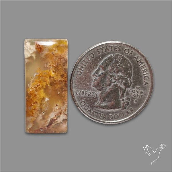 Northridge Plume Agate Cabochon