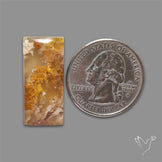 Northridge Plume Agate Cabochon