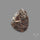 Raw Face Astrophyllite