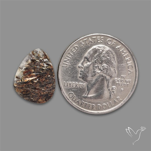 Raw Face Astrophyllite