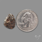Raw Face Astrophyllite