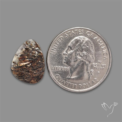 Raw Face Astrophyllite
