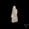 Freshwater Pearl