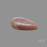 Grey Moonstone Evil Eye Carving