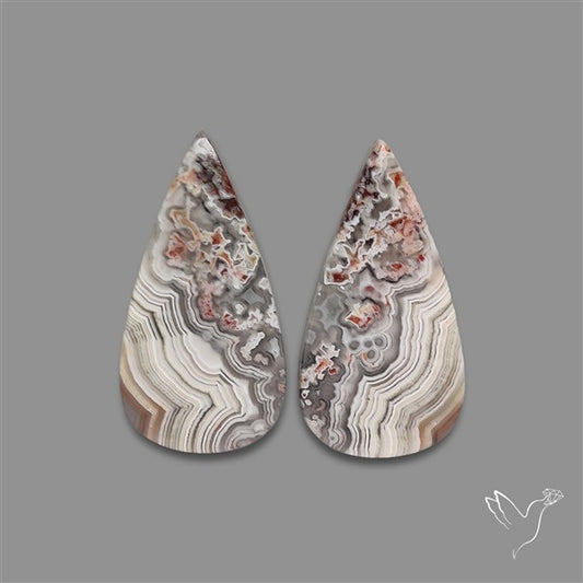 Crazylace Agate Pair
