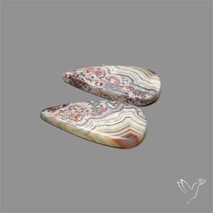 Crazylace Agate Pair
