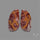 Noreena Jasper Pair