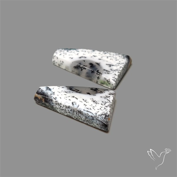 Dendritic Opal Pair
