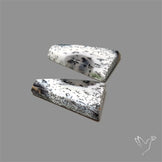 Dendritic Opal Pair