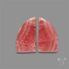 Gemmy Rhodochrosite Pair