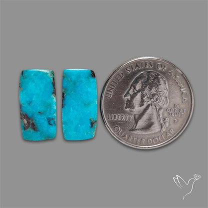 Morenci Turquoise Pair